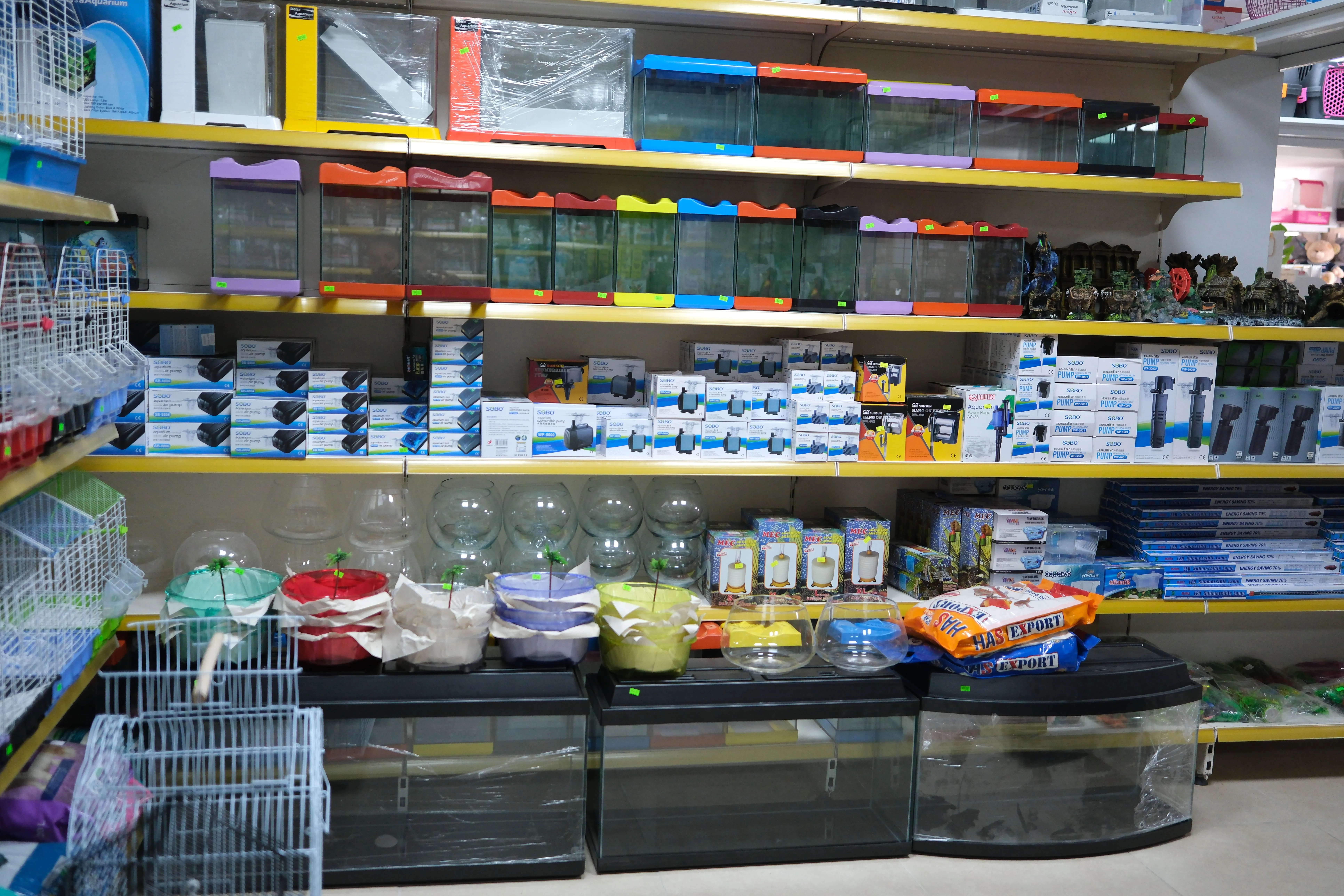 Akvaryum ve Ekipmanları