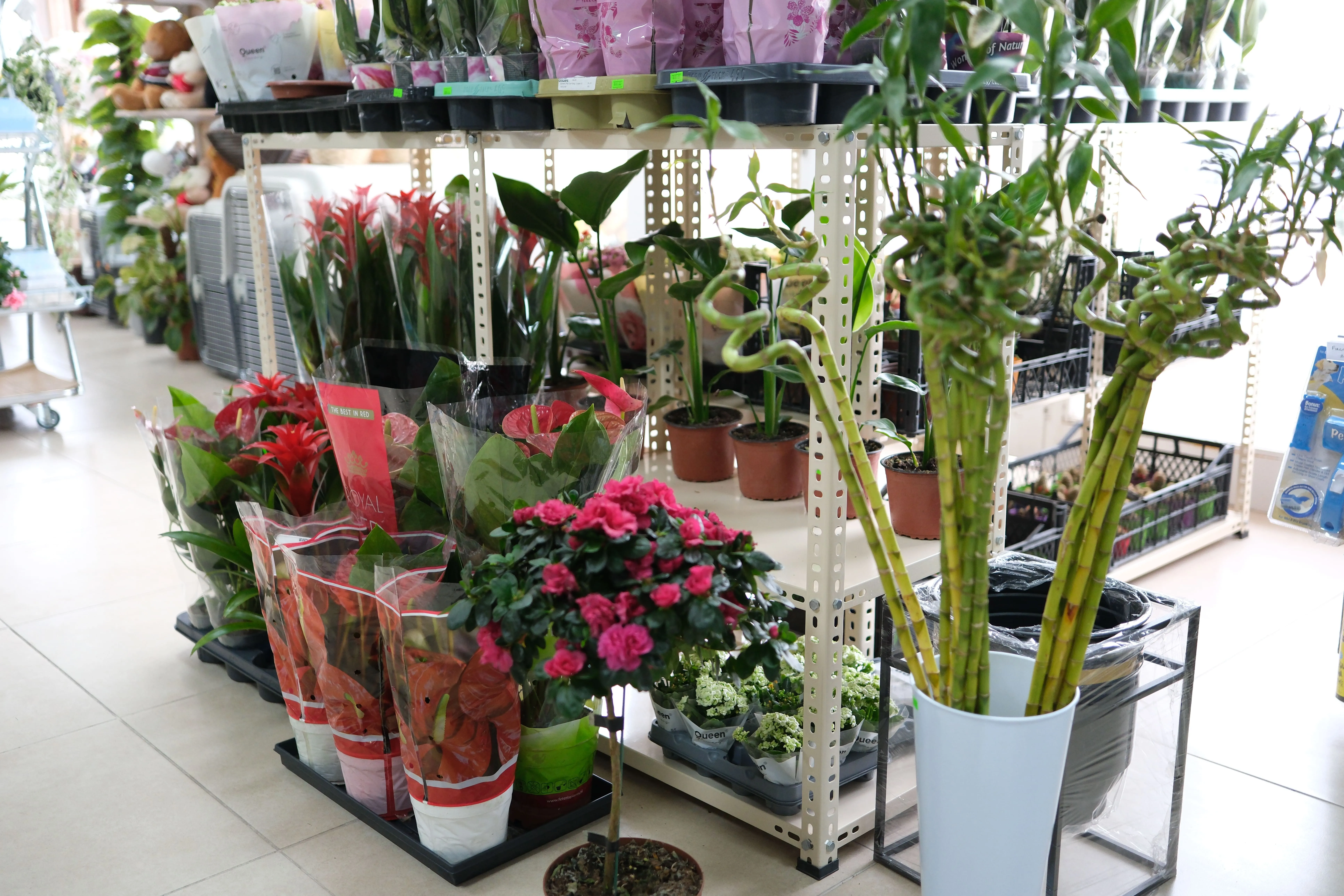 Düğün ve Davet Çiçekleri