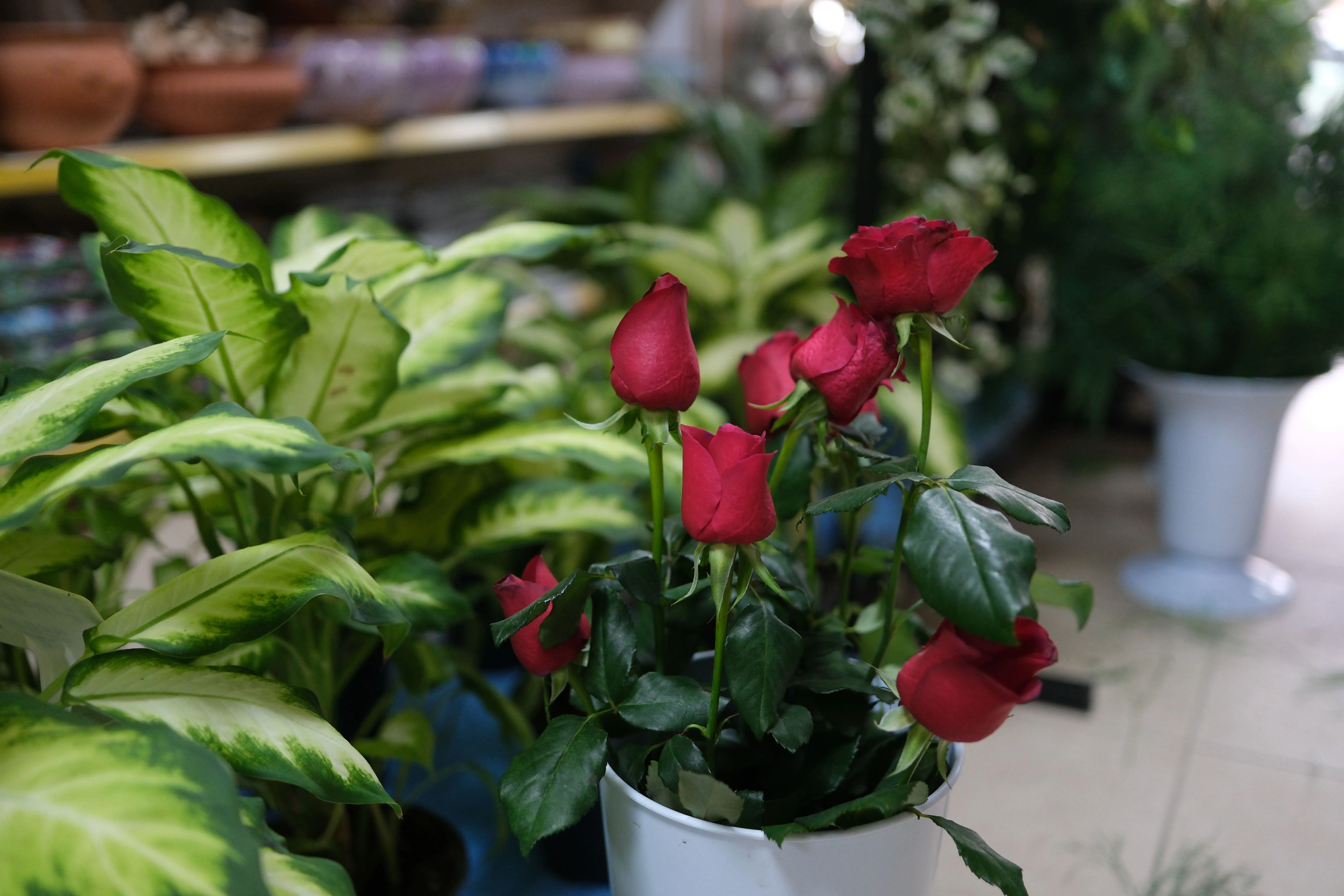 Kurumsal Çiçek Hizmetleri